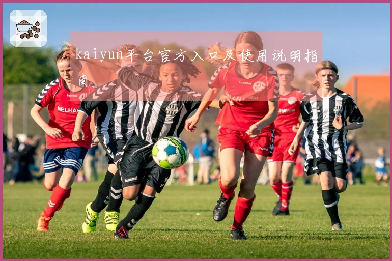 kaiyun平台官方入口及使用说明指南
